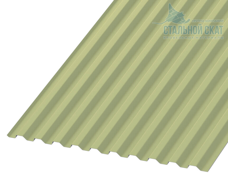 Профнастил С21 х 1000 - B NormanMP (ПЭ-01-6019-0.5)
